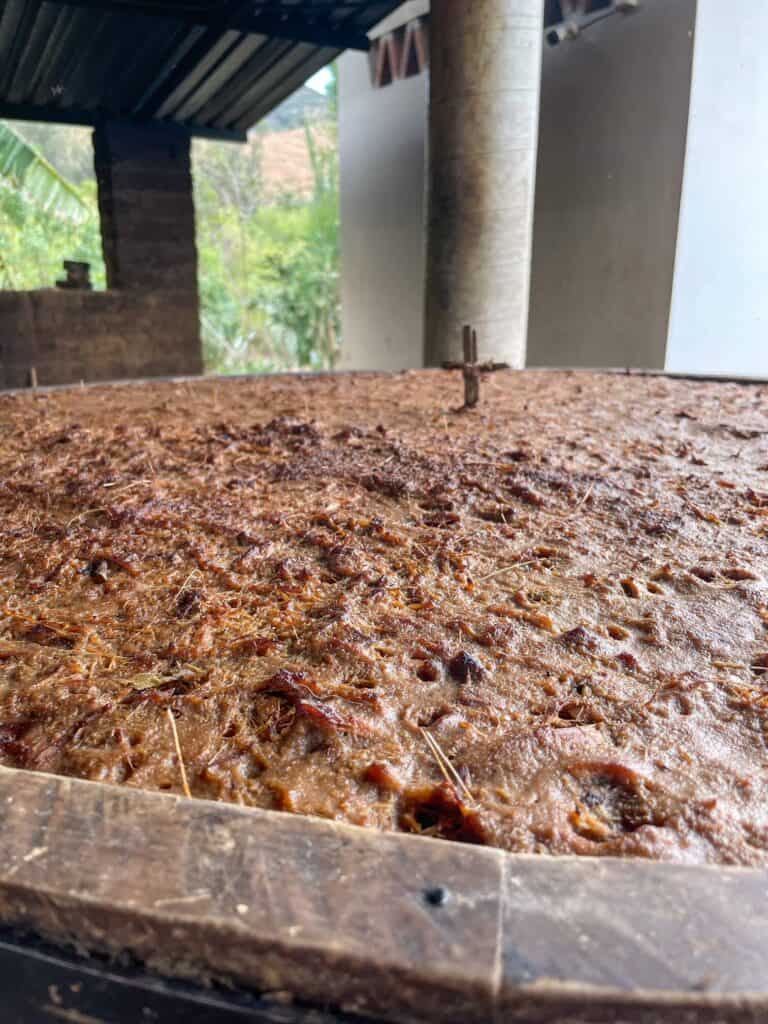 A close up view of the fermented agave that is a dark brown mush ready for the next step in the making of mezcal.
