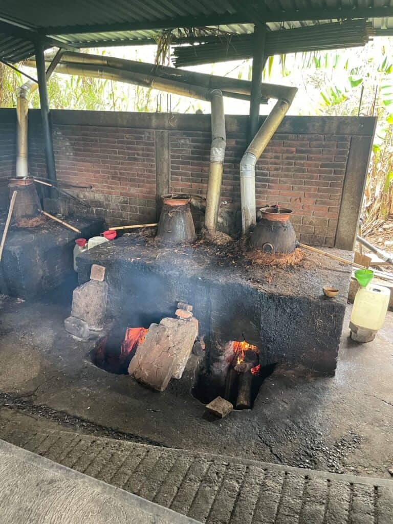 The above ground oven setup with fermented agave on top of clay pots sitting over burning wood slowly distilling mezcal into a container on the side.