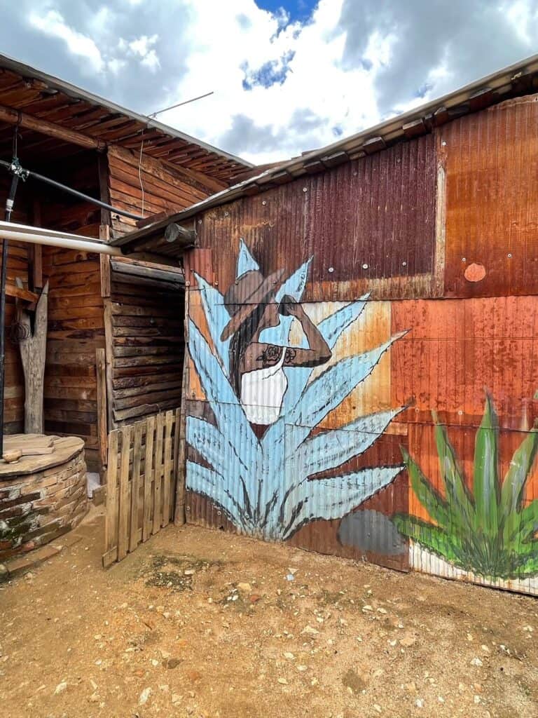 An art mural of a woman drinking mezcal surrounded by a large agave plant at a mezcal distillery on a Oaxaca mezcal tour.