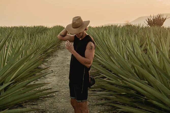 Mezcal Journey Tour In Oaxaca with Viator.