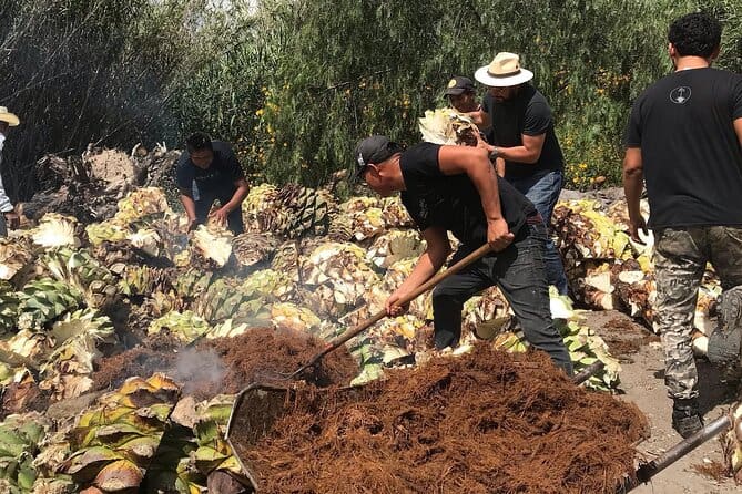 Mezcal Workshop_Liquid Culture In Oaxaca Tour_photo from Viator site.