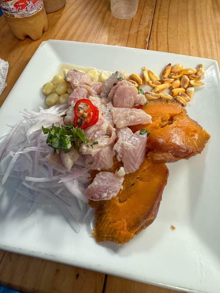 A plate with freshly made Peruvian style ceviche with cubes of fish, pickled onions, slices of sweet potato, and corn kernels at Mercado Surquillo.
