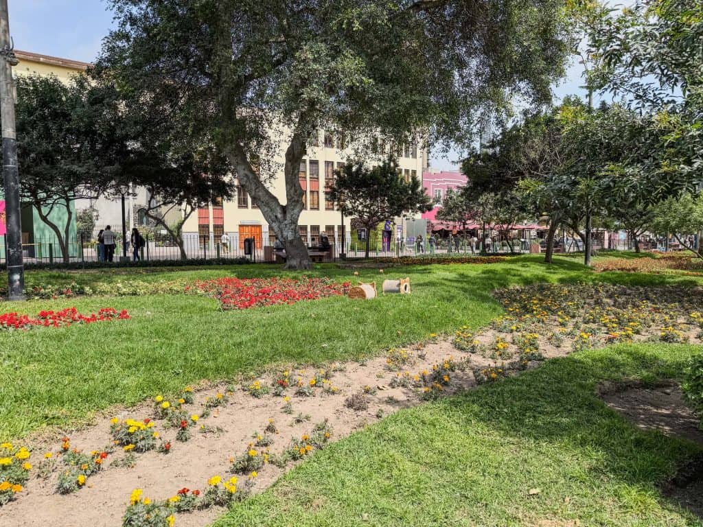 The grassy lawns with beds of flowers and cats sleeping in the beds of flowers on a sunny day at Kennedy Park (Cat Park) in Lima.