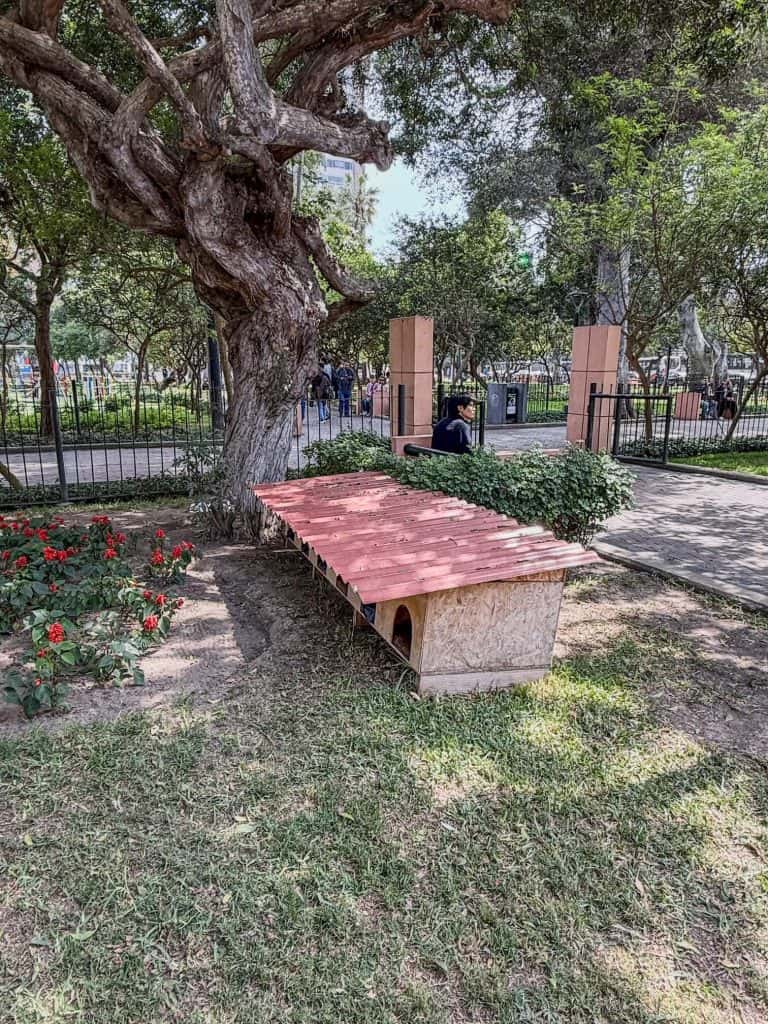 A row of "cat houses" in between a tree and bed of flowers in Kennedy Park, one of many houses for the cats to sleep in here.
