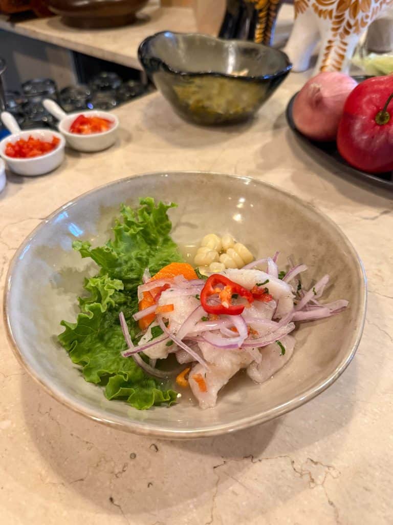 A bowl of Peruvian ceviche made fresh on a food tour in Barranco in Lima, Peru.